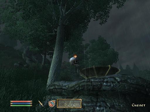 Elder Scrolls IV: Oblivion, The - Дневник имперского гастарбайтера. Том второй.